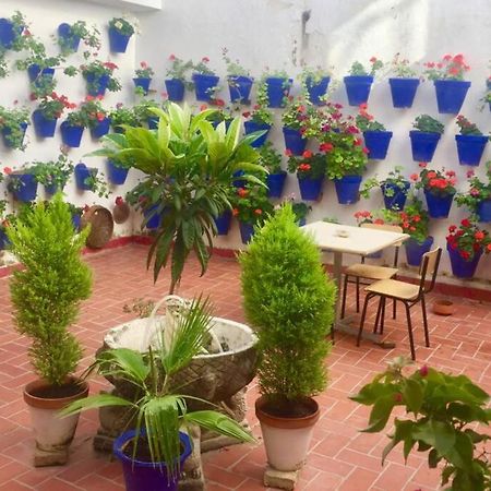 Apartamento Toril-Casco Historico Córdoba Eksteriør billede