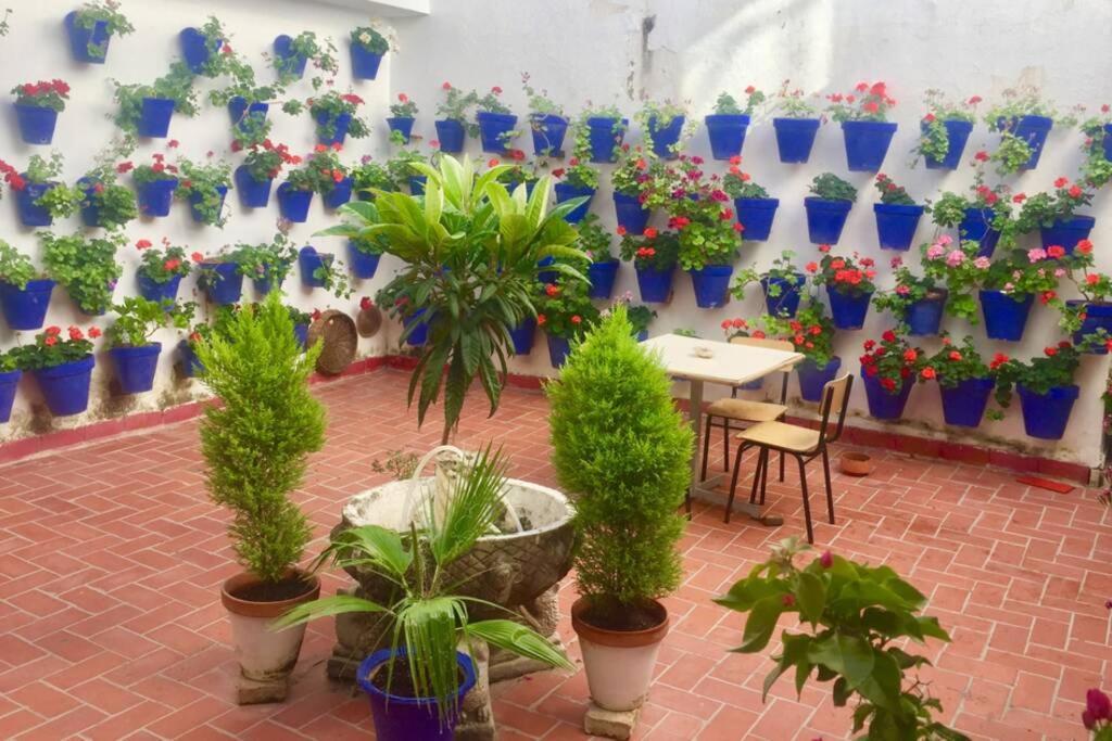 Apartamento Toril-Casco Historico Córdoba Eksteriør billede